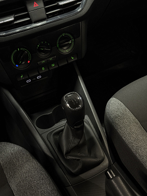 Skoda Rapid Ambition, 2020 года, пробег 63000 км