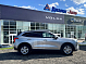 Haval Jolion Оптимум, 2024 года, пробег 44945 км