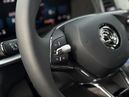 Skoda Karoq, 2025 года, пробег 4 км